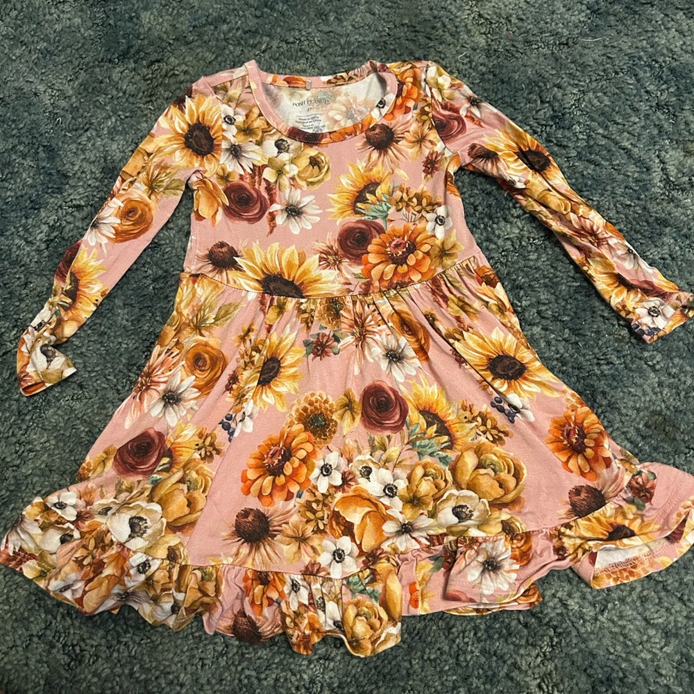 2T Posh Peanut Fall Dress